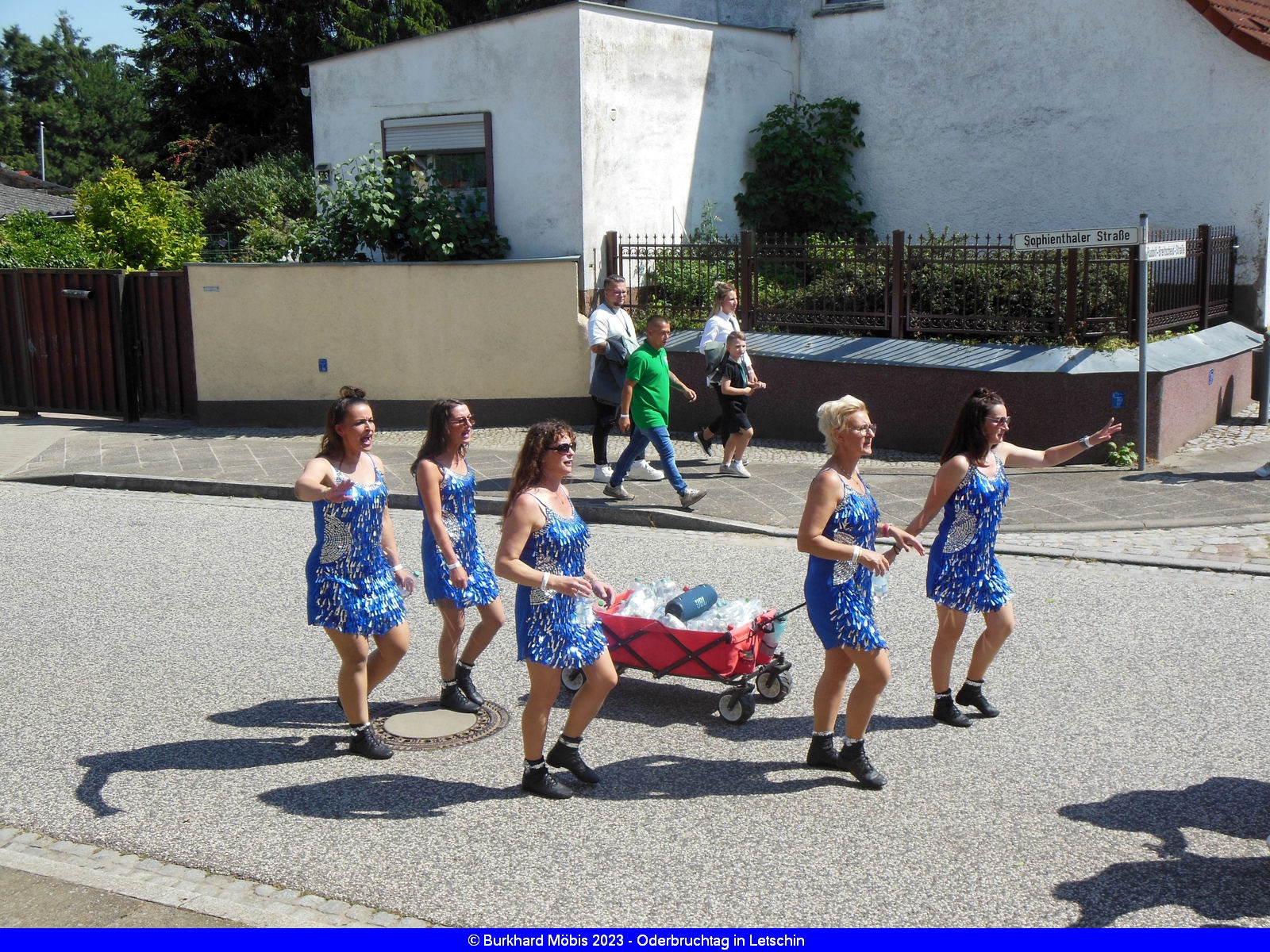 web_dscn9854