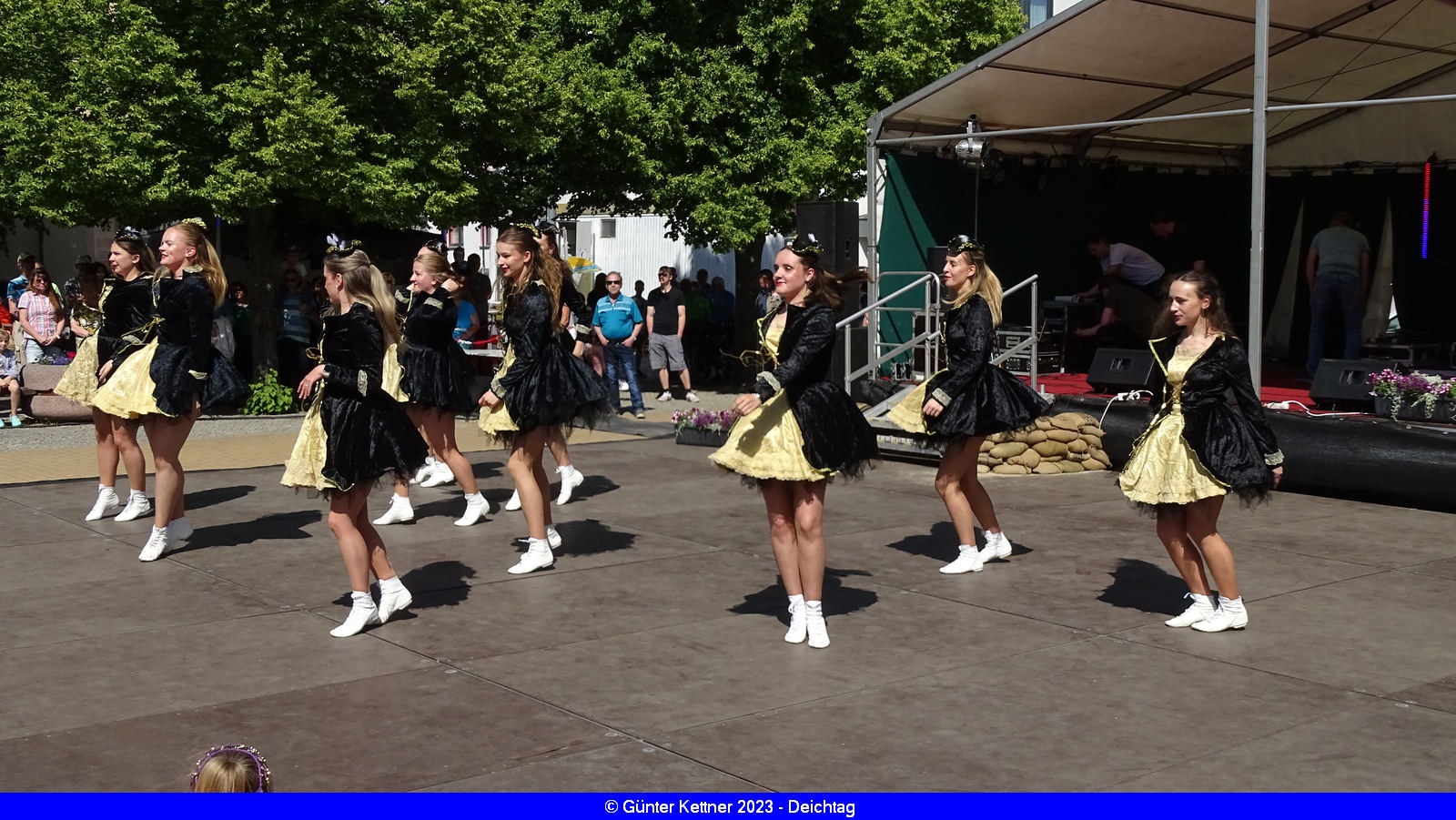 web_dsc05399