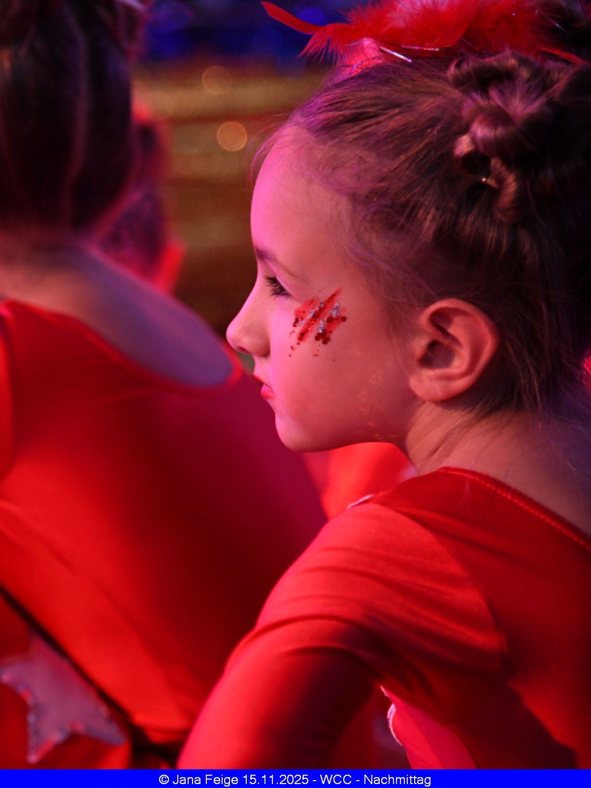 web_wcc 2025-11-14 nachm  (141)